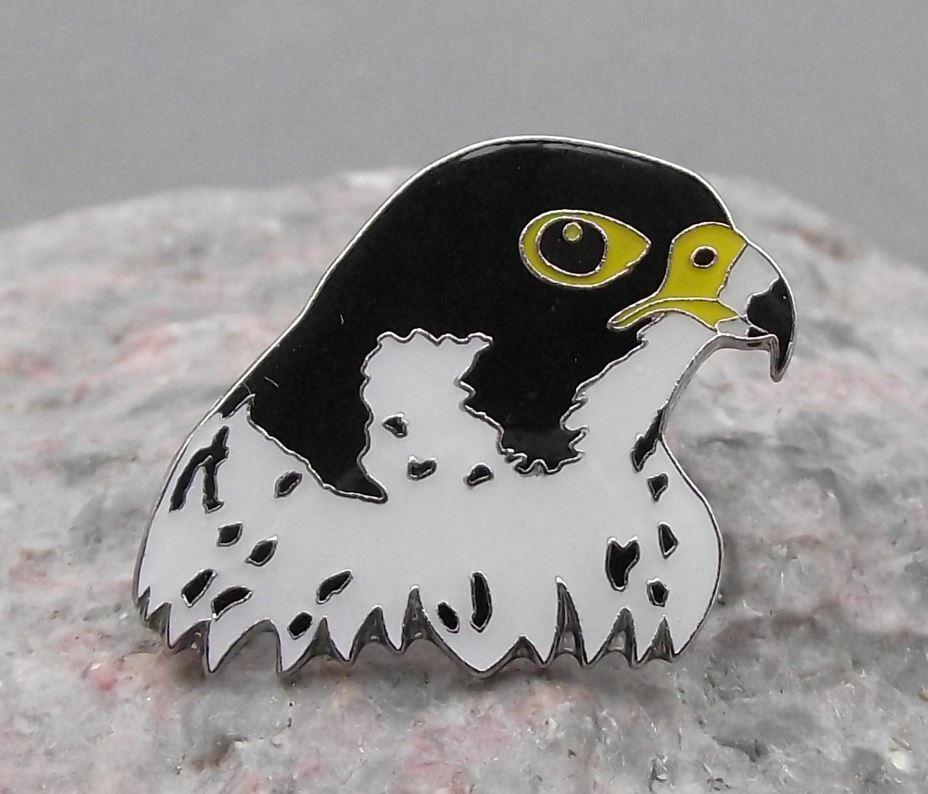 North American Peregrine Falcon Head Eagle Duck Hawk Raptor Prey Bird Pin Badge